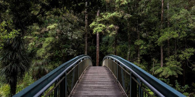 2023明星社媒运营密码：从电影点评到电视剧互动，揭秘三大破圈策略