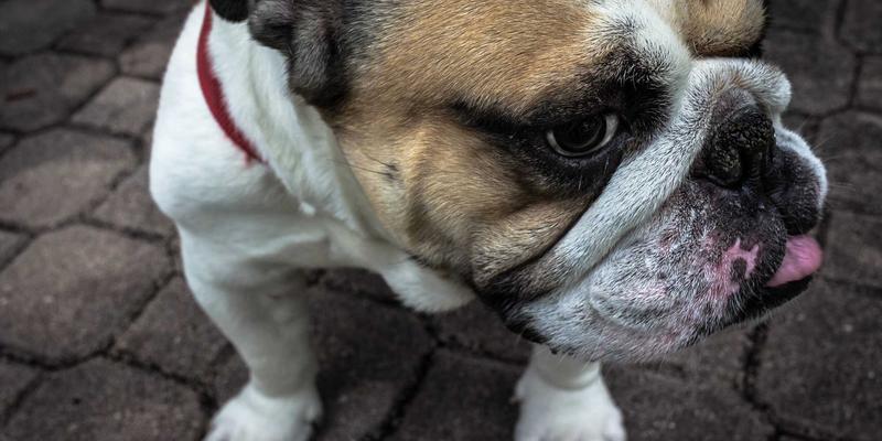 AI重塑娱乐资讯:从自动生成明星动态到虚拟主播,机遇与伦理边界何在?