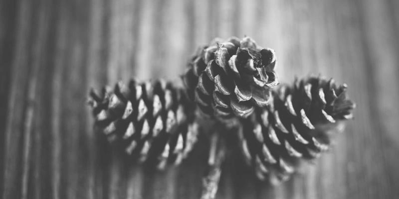 从《第五频道》看偶像养成节目粉丝经济：一场精心设计的娱乐资本盛宴