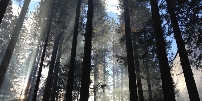 从超话管理到线下应援:第五频道电影点评与明星动态如何构建高忠诚度粉丝社群