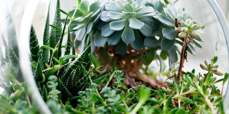 告别同质化！娱乐自媒体如何用“第五频道”思维打造爆款视频内容