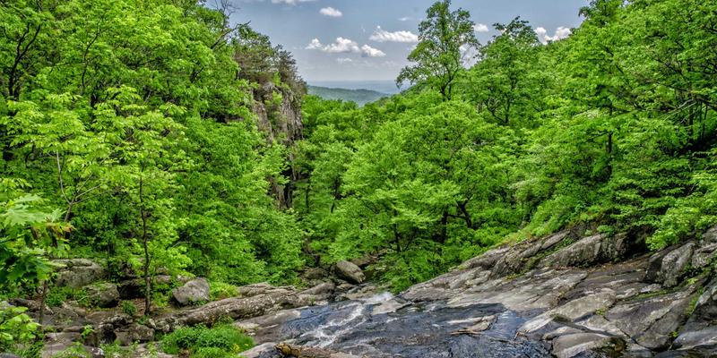 独家爆料还是侵权转载？娱乐资讯平台的版权博弈与生态重构